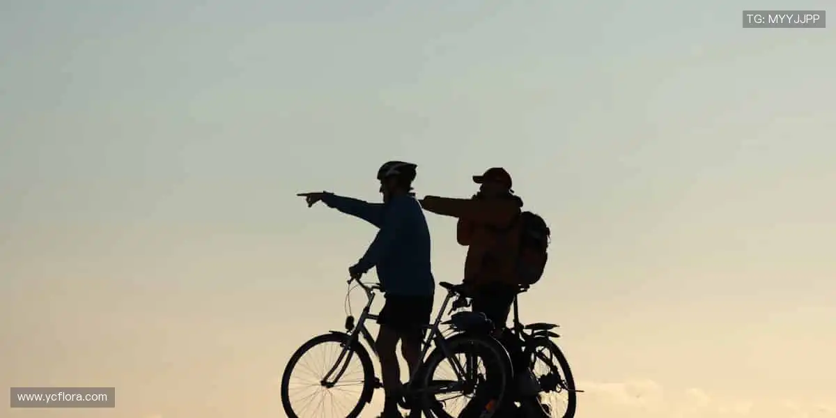 📱高清直播直击,让热爱零距离!